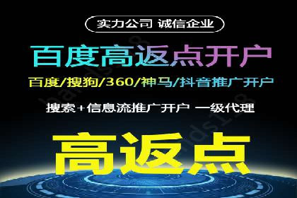 某电商平台的SEM关键词策略及成效分析